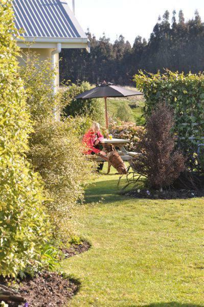Blue Thistle Cottages Te Anau Dış mekan fotoğraf